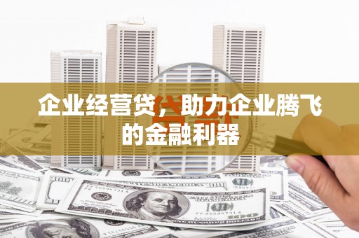 大邑企业经营贷，助力企业腾飞的金融利器