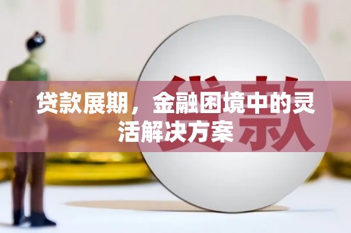 大邑贷款展期，金融困境中的灵活解决方案