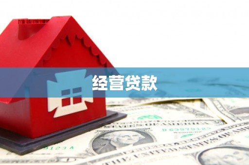 大邑经营贷款
