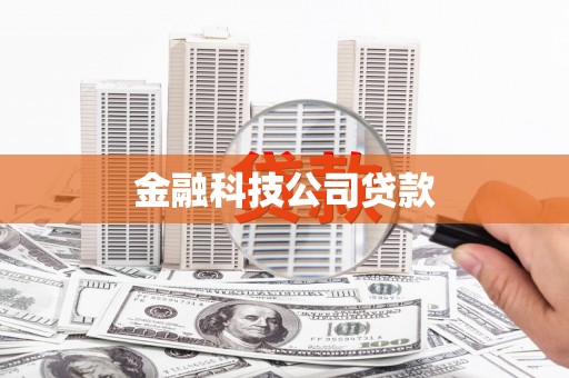 大邑金融科技公司贷款