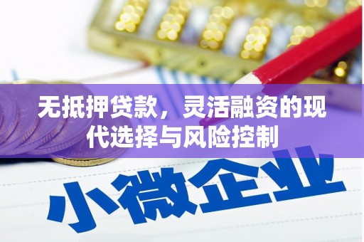 大邑无抵押贷款，灵活融资的现代选择与风险控制