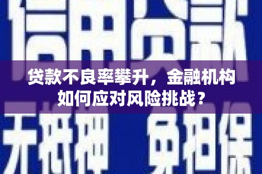 大邑贷款不良率攀升，金融机构如何应对风险挑战？