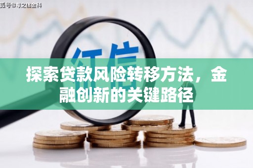 大邑探索贷款风险转移方法，金融创新的关键路径