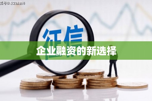 大邑企业融资的新选择