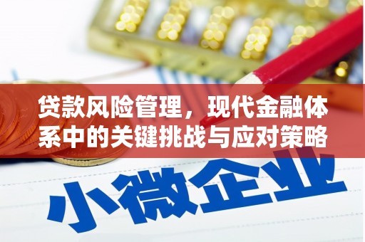 大邑贷款风险管理，现代金融体系中的关键挑战与应对策略