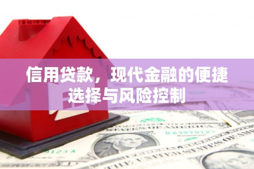 大邑信用贷款，现代金融的便捷选择与风险控制