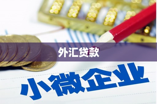 大邑外汇贷款
