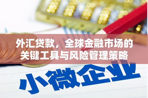 大邑外汇贷款，全球金融市场的关键工具与风险管理策略