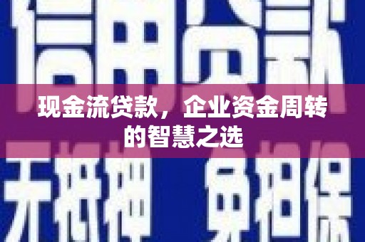 大邑现金流贷款，企业资金周转的智慧之选