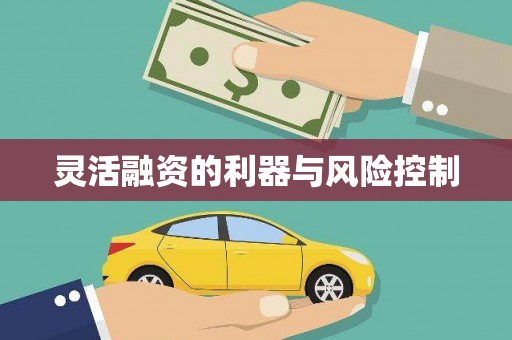 大邑灵活融资的利器与风险控制
