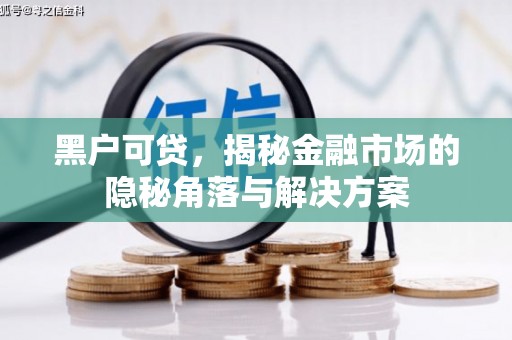 大邑黑户可贷，揭秘金融市场的隐秘角落与解决方案