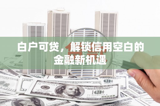 大邑白户可贷，解锁信用空白的金融新机遇