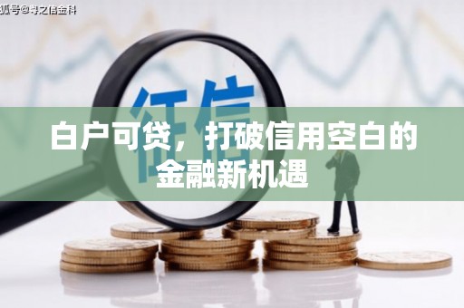 大邑白户可贷，打破信用空白的金融新机遇