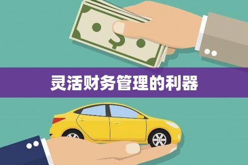 大邑灵活财务管理的利器
