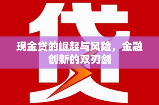 大邑现金贷的崛起与风险，金融创新的双刃剑