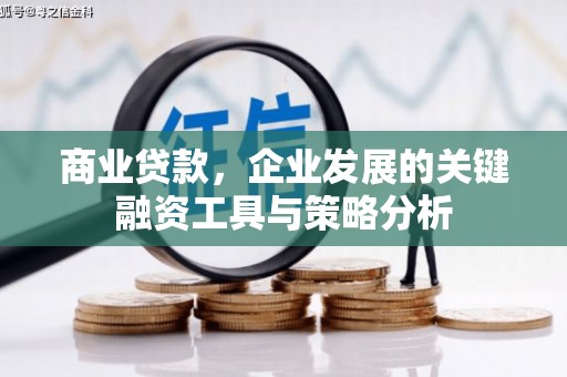 大邑商业贷款，企业发展的关键融资工具与策略分析