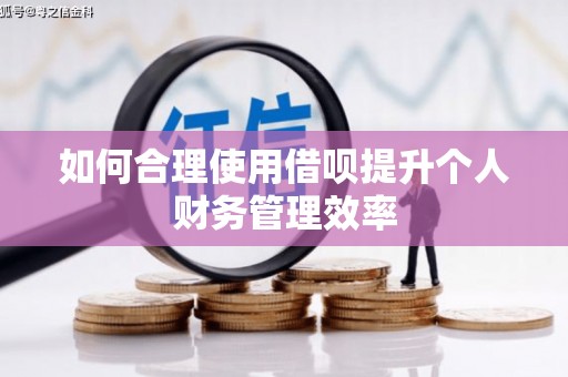 大邑如何合理使用借呗提升个人财务管理效率