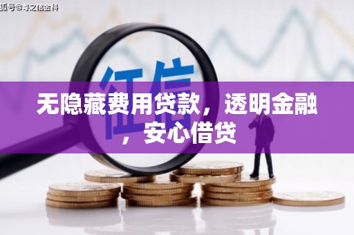 大邑无隐藏费用贷款，透明金融，安心借贷