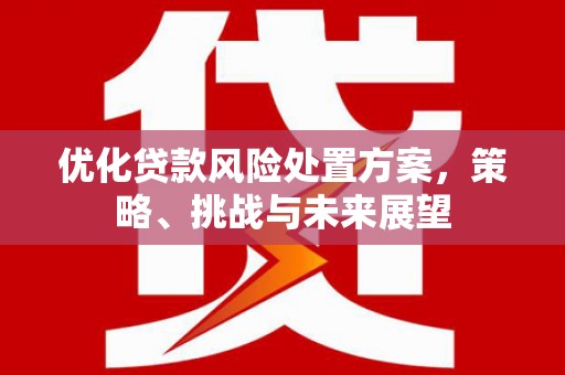 大邑优化贷款风险处置方案，策略、挑战与未来展望