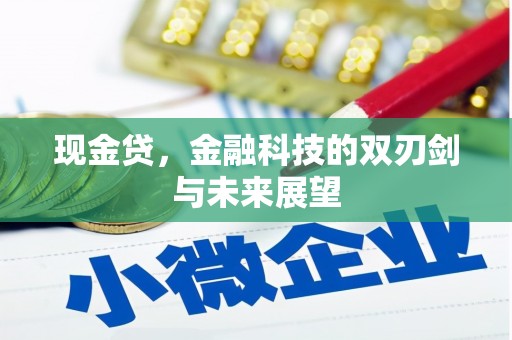 大邑现金贷，金融科技的双刃剑与未来展望