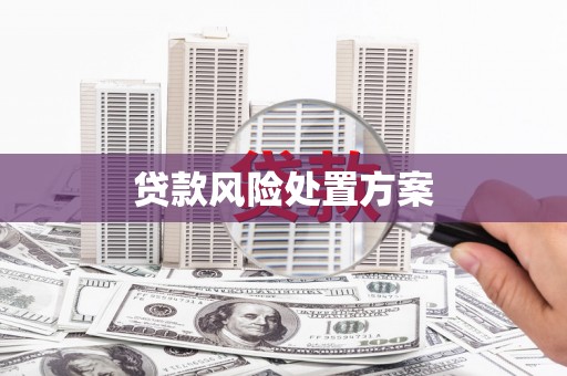 大邑贷款风险处置方案