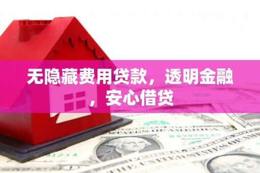 大邑无隐藏费用贷款，透明金融，安心借贷