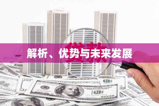 大邑解析、优势与未来发展
