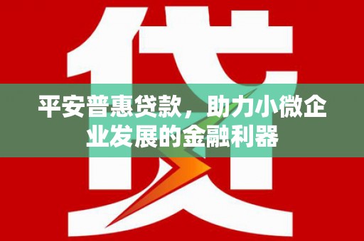 大邑平安普惠贷款，助力小微企业发展的金融利器