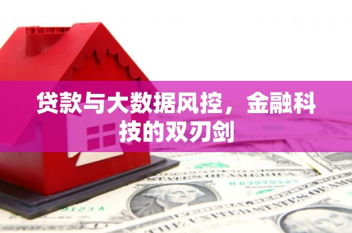 大邑贷款与大数据风控，金融科技的双刃剑