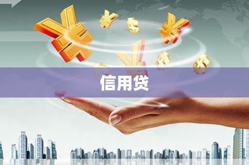 大邑信用贷