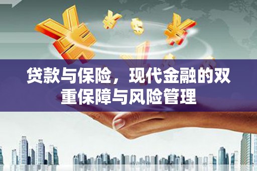 大邑贷款与保险，现代金融的双重保障与风险管理