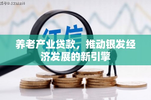 大邑养老产业贷款，推动银发经济发展的新引擎