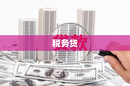 大邑税务贷