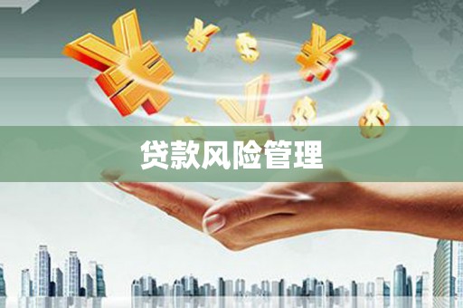 大邑贷款风险管理