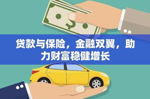 大邑贷款与保险，金融双翼，助力财富稳健增长