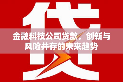 大邑金融科技公司贷款，创新与风险并存的未来趋势