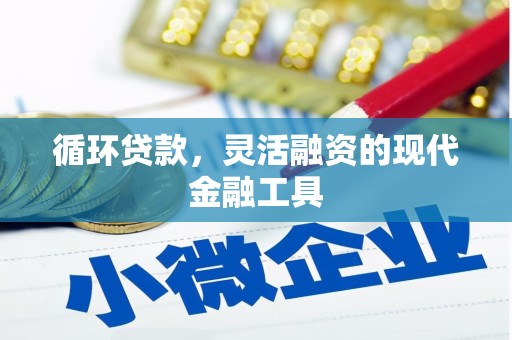 大邑循环贷款，灵活融资的现代金融工具