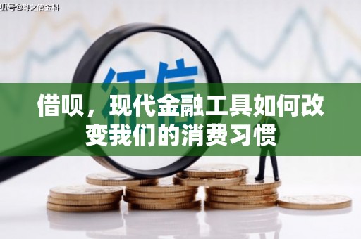 大邑借呗，现代金融工具如何改变我们的消费习惯