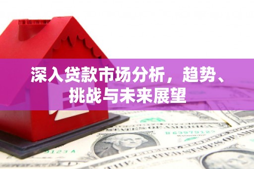 大邑深入贷款市场分析，趋势、挑战与未来展望
