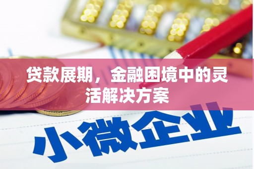 大邑贷款展期，金融困境中的灵活解决方案