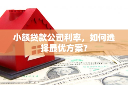 大邑小额贷款公司利率，如何选择最优方案？