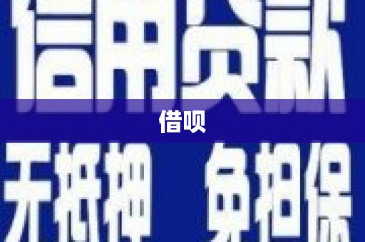 大邑借呗