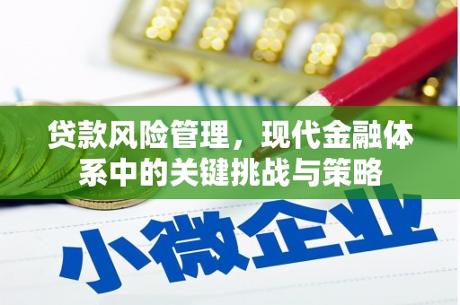 大邑贷款风险管理，现代金融体系中的关键挑战与策略