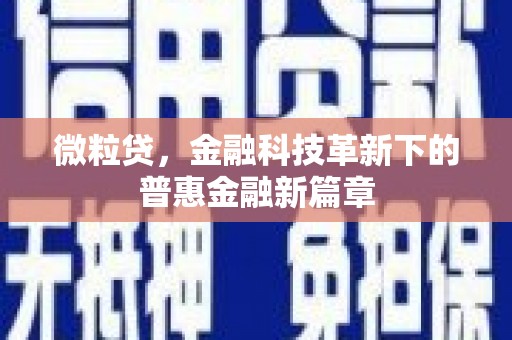 大邑微粒贷，金融科技革新下的普惠金融新篇章