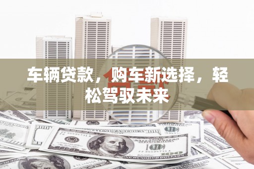 大邑车辆贷款，购车新选择，轻松驾驭未来