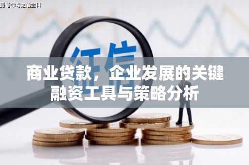 大邑商业贷款，企业发展的关键融资工具与策略分析