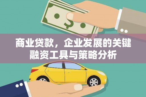 大邑商业贷款，企业发展的关键融资工具与策略分析