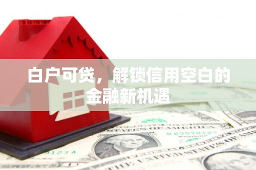 大邑白户可贷，解锁信用空白的金融新机遇