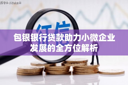 大邑包银银行贷款助力小微企业发展的全方位解析