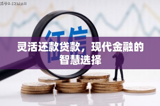 大邑灵活还款贷款，现代金融的智慧选择
